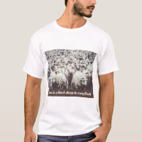 Flock von weißen und schwarzen Schafen