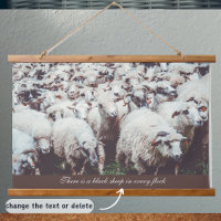 Flock von weißen und schwarzen Schafen