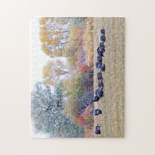 Flock wild lebender Truthühner auf einem Feld Puzzle (Vertikal)