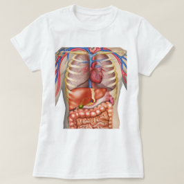 Flockige Express® Organ-Anatomie-Frau T-Shirt
