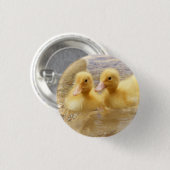 Flockige gelbe Entlein Getty Bild-| Button (Vorne & Hinten)