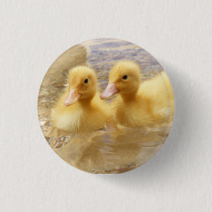 Flockige gelbe Entlein Getty Bild-  Button