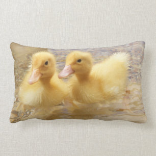 Flockige gelbe Entlein Getty Bild-  Lendenkissen