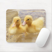 Flockige gelbe Entlein Getty Bild-| Mousepad (Mit Mouse)