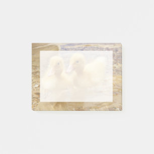 Flockige gelbe Entlein Getty Bild-  Post-it Klebezettel