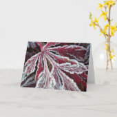 Flockiges eisiges Blatt Karte (Gelbe Blume)