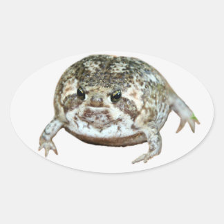 Flog Ovaler Aufkleber