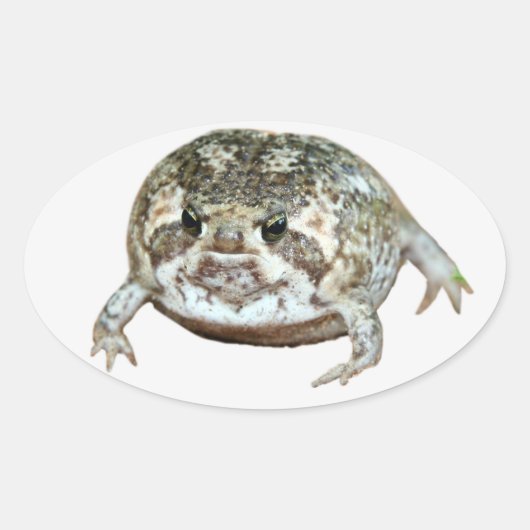 Flog Ovaler Aufkleber (Vorderseite)