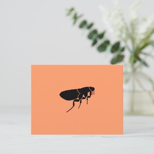 Floh Postkarte (Stehend Vorderseite)