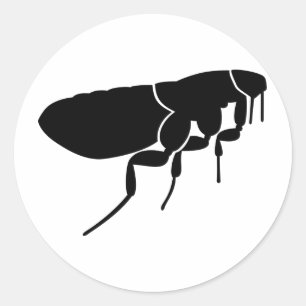Floh Runder Aufkleber