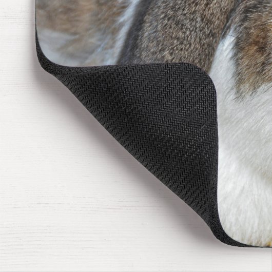 Floppy Eared Bunny Mousepad (Ecke)