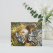 Flops im Frühjahr kippen Postkarte (Stehend Vorderseite)