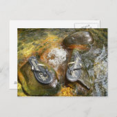 Flops im Frühjahr kippen Postkarte (Vorne/Hinten)