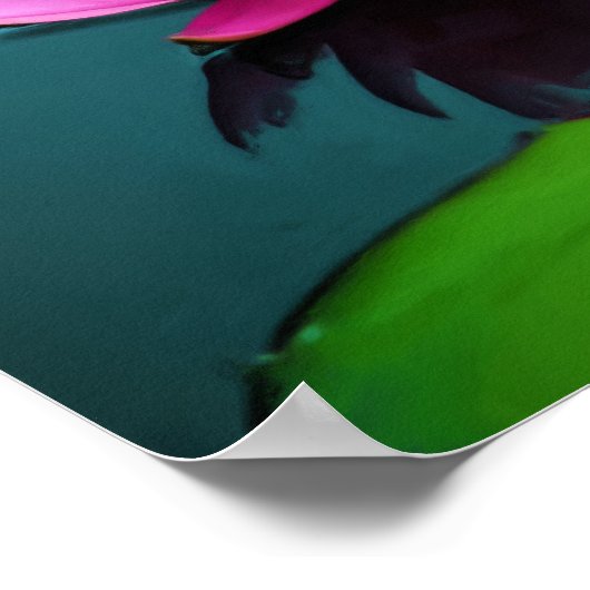 Flor 06 Ninféia Rosa Poster (Ecke)