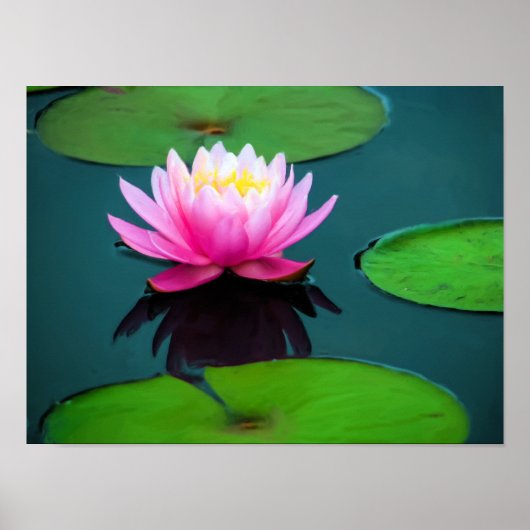 Flor 06 Ninféia Rosa Poster (Vorne)