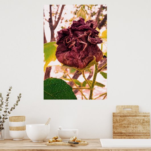 Flor da morte poster (Küche)