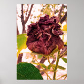 Flor da morte poster (Vorne)