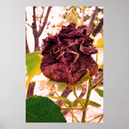 Flor da morte poster