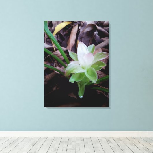 flor de açafrão da-terra leinwanddruck (Insitu (Holzboden))