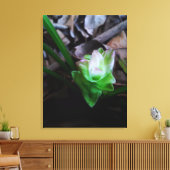 flor de açafrão da terra leinwanddruck (Insitu (Wohnzimmer))