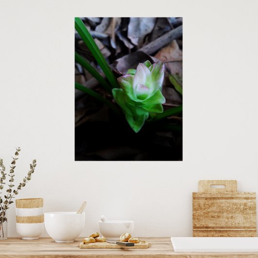 flor de açafrão da terra poster (Küche)