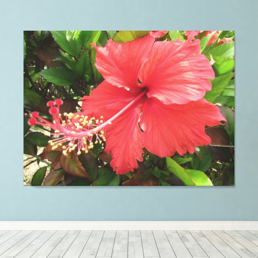 Flor de Amapola Leinwanddruck (Insitu (Holzboden))