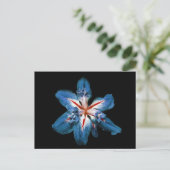 "Flor de la Mar" - Postkarte (Stehend Vorderseite)