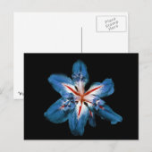 "Flor de la Mar" - Postkarte (Vorne/Hinten)