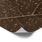 flor de papel poster (Ecke)