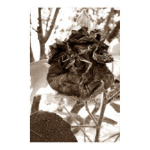 flor de papel