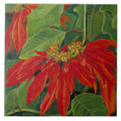 Flor de Pascua oder Osterfeier, berühmte Blume, Fliese (Vorderseite)