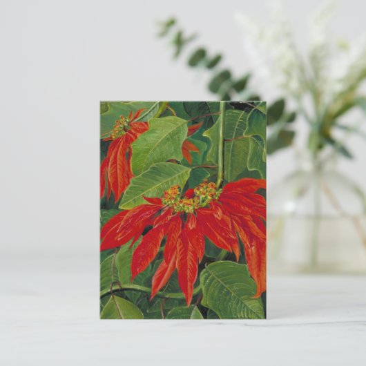 Flor de Pascua oder Osterfeier, berühmte Blume, Postkarte (Stehend Vorderseite)