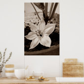 flor de pimentão - old poster (Küche)