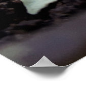 flor de pimentão poster (Ecke)