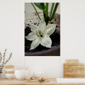 flor de pimentão poster (Küche)