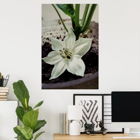 flor de pimentão poster (Heimbüro)