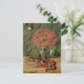 Flor Imperiale, Coral Snake and Spider, Brasilien Postkarte (Stehend Vorderseite)