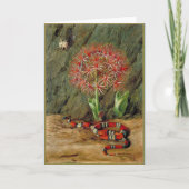 Flor Imperiale Korallenschlange und Spider Karte (Vorderseite)