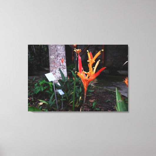 flor laranjada leinwanddruck (Vorderseite)