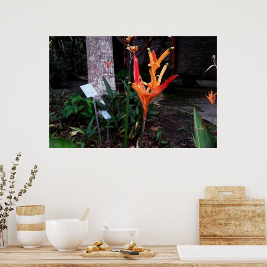 flor laranjada poster (Küche)