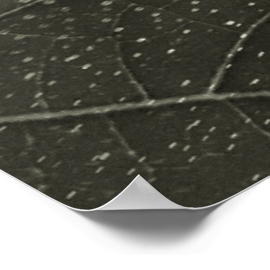 flor morta poster (Ecke)