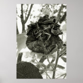 flor morta poster (Vorne)