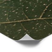 flor mortal poster (Ecke)