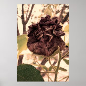 flor mortal poster (Vorne)