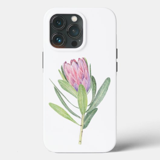 Flor Protea Case-Mate iPhone Hülle (Rückseite)