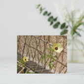 Flor Quiabo Flower green & yellow Postkarte (Stehend Vorderseite)