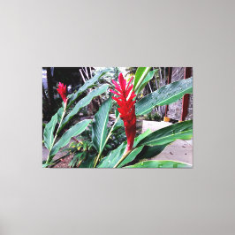 flor vermelha leinwanddruck