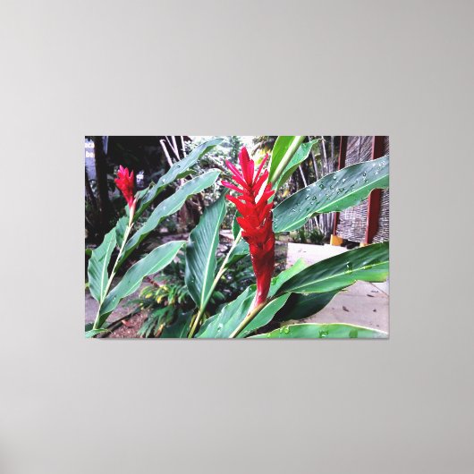 flor vermelha leinwanddruck (Vorderseite)