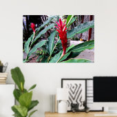 flor vermelha poster (Heimbüro)