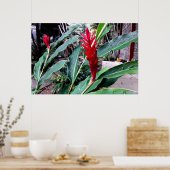 flor vermelha poster (Küche)